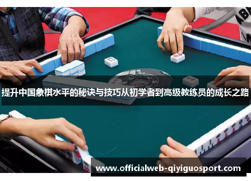 提升中国象棋水平的秘诀与技巧从初学者到高级教练员的成长之路